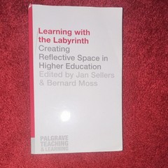 Learning with the Labyrinth Sellers Moss Palgrave Higher Education Book