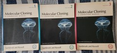 Molecular Cloning: A Laboratory Manual Third Edition 3 Vol Set by Sambrook PB