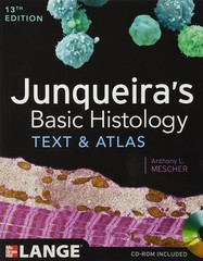 Junqueira’s Basic Histology: Text and Atlas, Thirteenth Edition