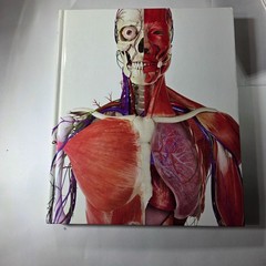 The Human Body Book Hardcover By DK Anatomy & Physiology Reference medical