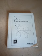 Horse Animal Atlas of Equine Anatomy : Regional Approach Pasquini (1991) 17