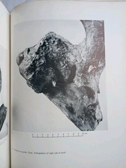 Olduvai Gorge 1951-1961 Vol 1 by L.S.B. Leakey 1965 HC/DJ Very Good (865)