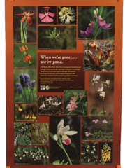 Poster Illinois Rare Plants Division of National Heritage 24 X 36 Identification