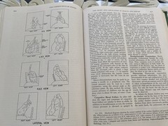Vintage Medical Book: Textbook of Pediatrics Waldo Nelson W B Saunders 1959
