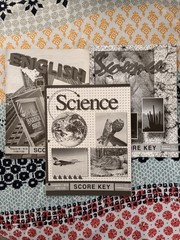 ACE Pace Grade 10-12 1118-1120 And 1130-1132 Chemistry English Physical Science