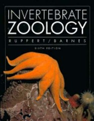 Invertebrate Zoology by Edward E Ruppert: Used