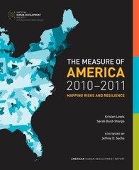 The Measure of America, 2010-2011: Mapping Risk- paperback, Lewis, 9780814783801