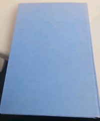 The Spit-Shine Syndrome: Organizational Irrationality in the American Field Army