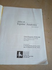 Horse Animal Atlas of Equine Anatomy : Regional Approach Pasquini (1991) 17
