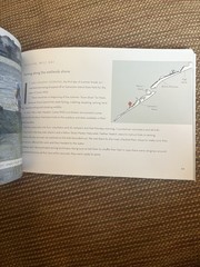 Exploring Galveston : A Naturalist’s Guide to the Island by Steve K. Alexander