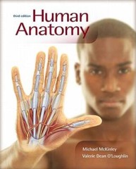 Human Anatomy, 3rd Edition – Hardcover By Michael McKinley – VERY GOOD