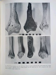 Olduvai Gorge 1951-1961 Vol 1 by L.S.B. Leakey 1965 HC/DJ Very Good (865)