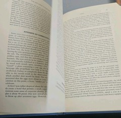 The Spit-Shine Syndrome: Organizational Irrationality in the American Field Army